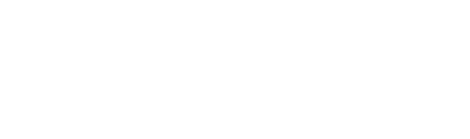 Parametra Logo